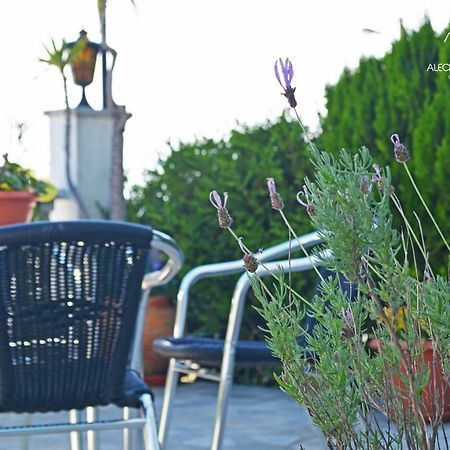 Alecrim Rosmaninho Guest House Pinhel Exterior foto